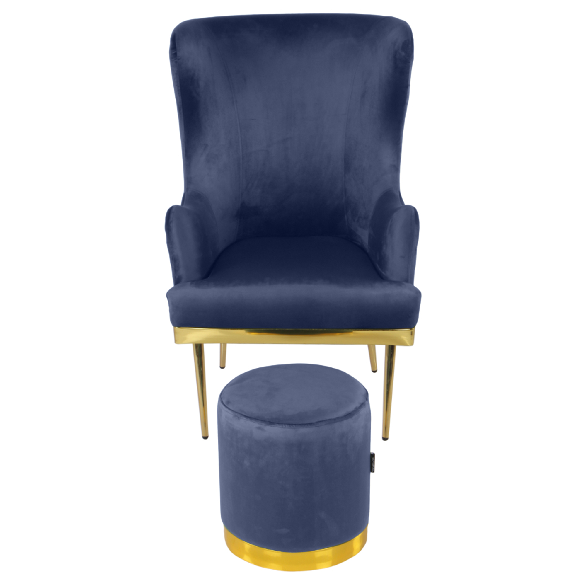 Primrose Camilla Wing Chair With Ottoman for Living Room Bedroom High Back Arm Rest Chair - Blue view 2